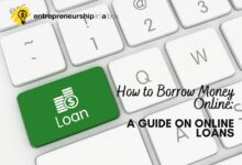 Instant Loans: Quick Guide To Borrowing Money Online