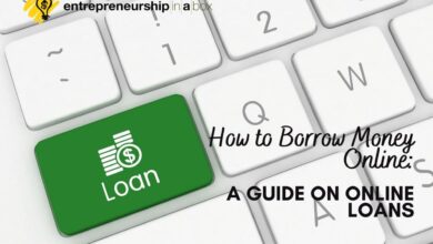 Instant Loans: Quick Guide To Borrowing Money Online